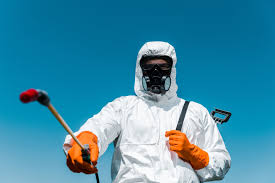 Best Bee and Wasp Removal  in Elmo, TX